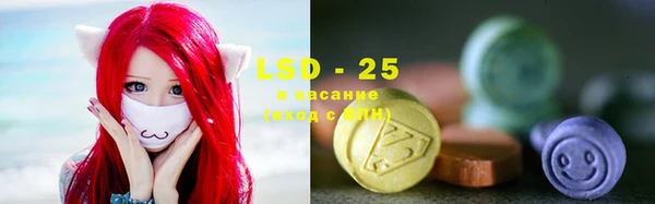 индика Баксан