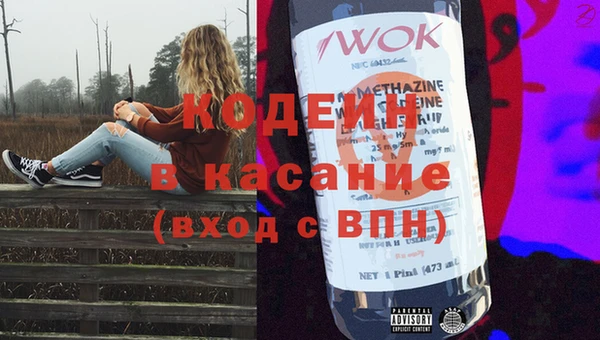 индика Баксан