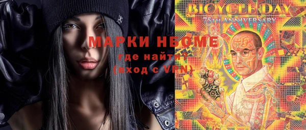 индика Баксан