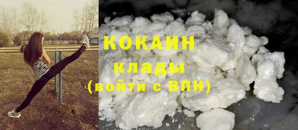индика Баксан