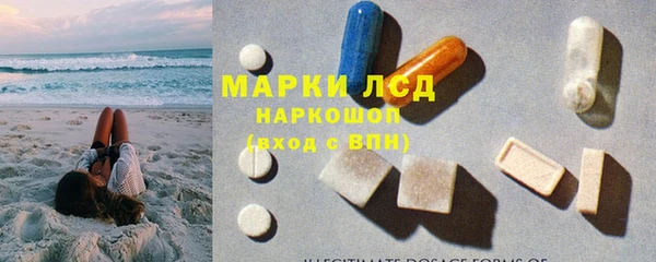 индика Баксан