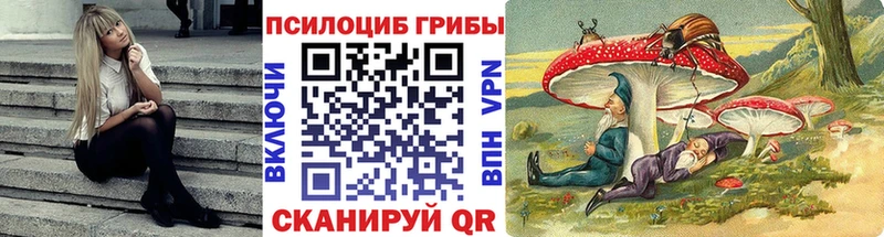 Купить  Инза  Псилоцибиновые грибы ЛСД 
